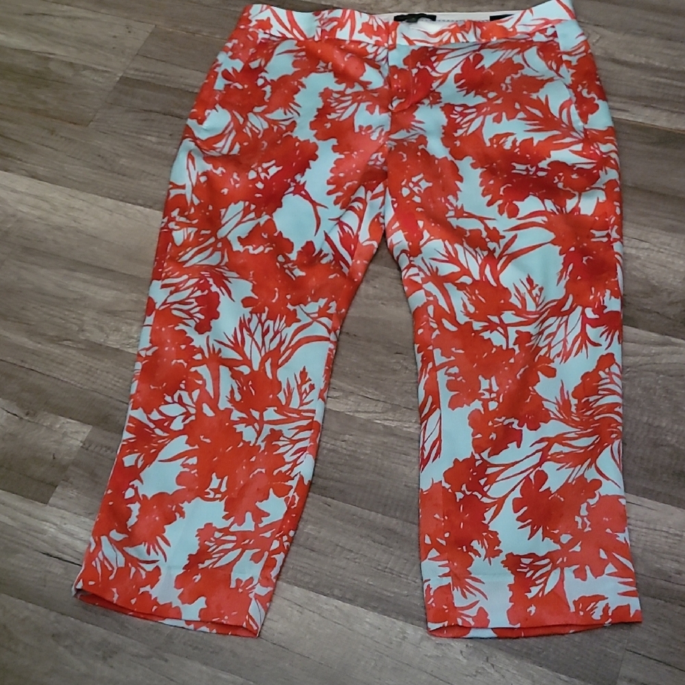 Banana Republic Red and Blue Garment Pants Size 12 Petite
